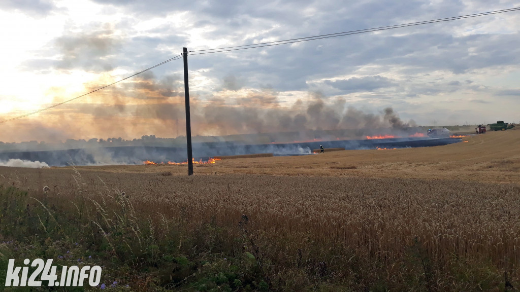 Pożar pola koło Pakości