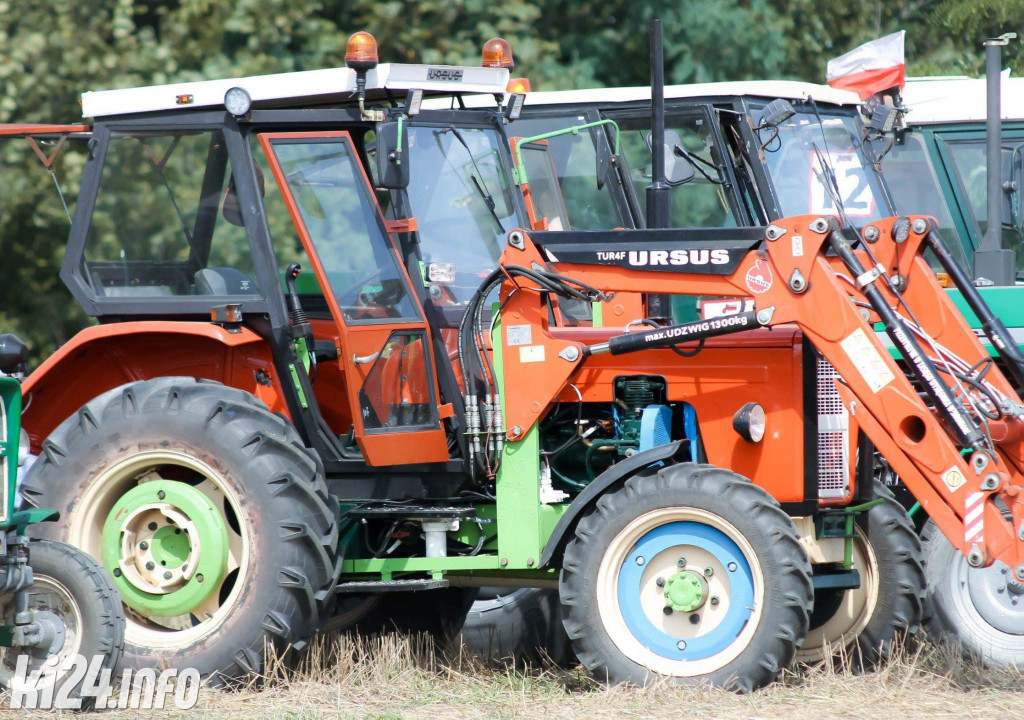 Grene Race 2019