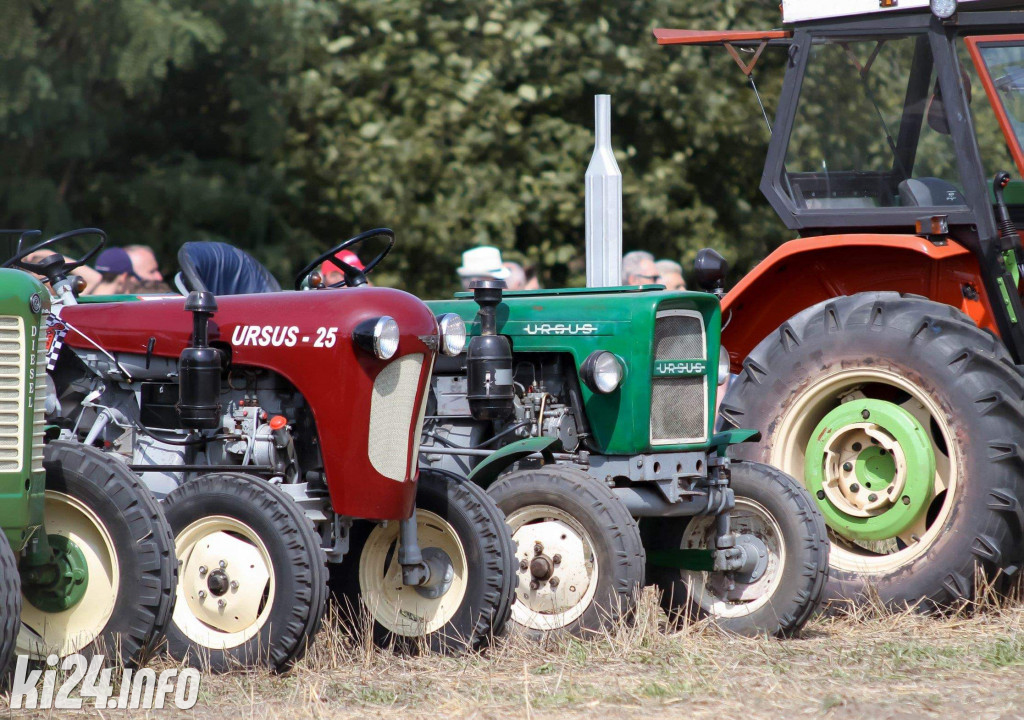 Grene Race 2019
