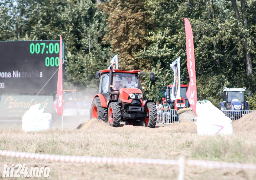 Grene Race 2019
