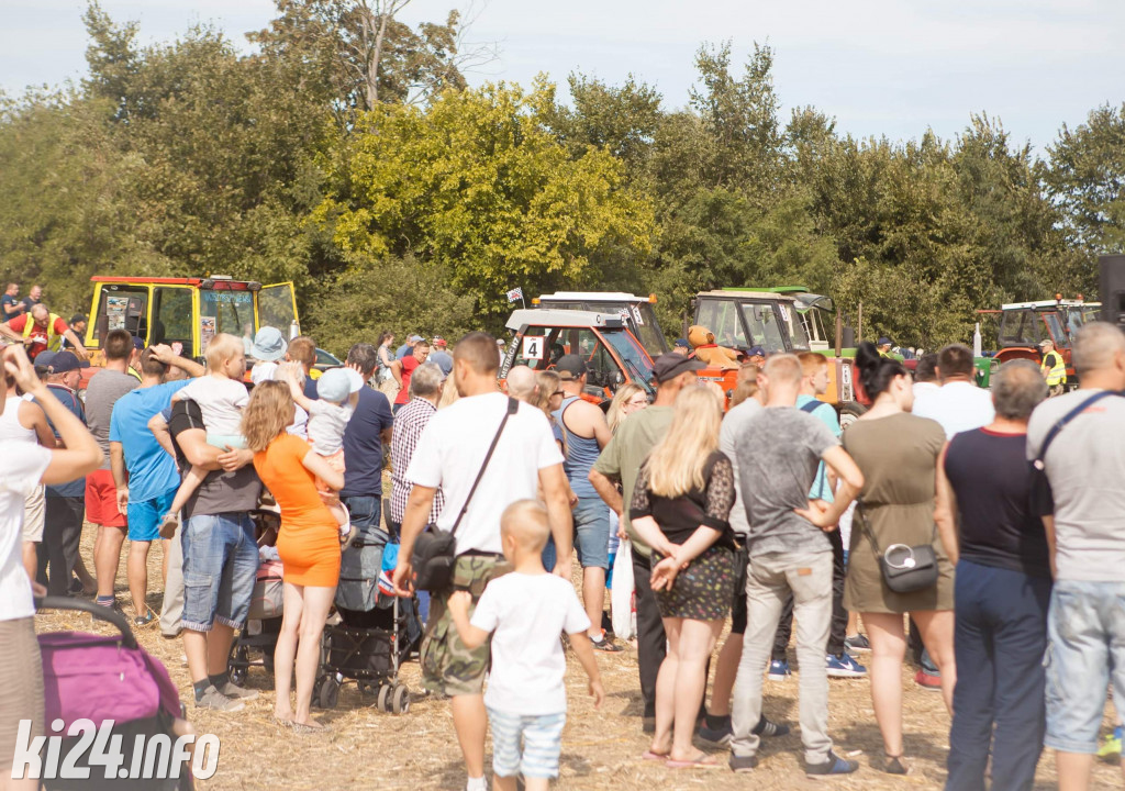 Grene Race 2019