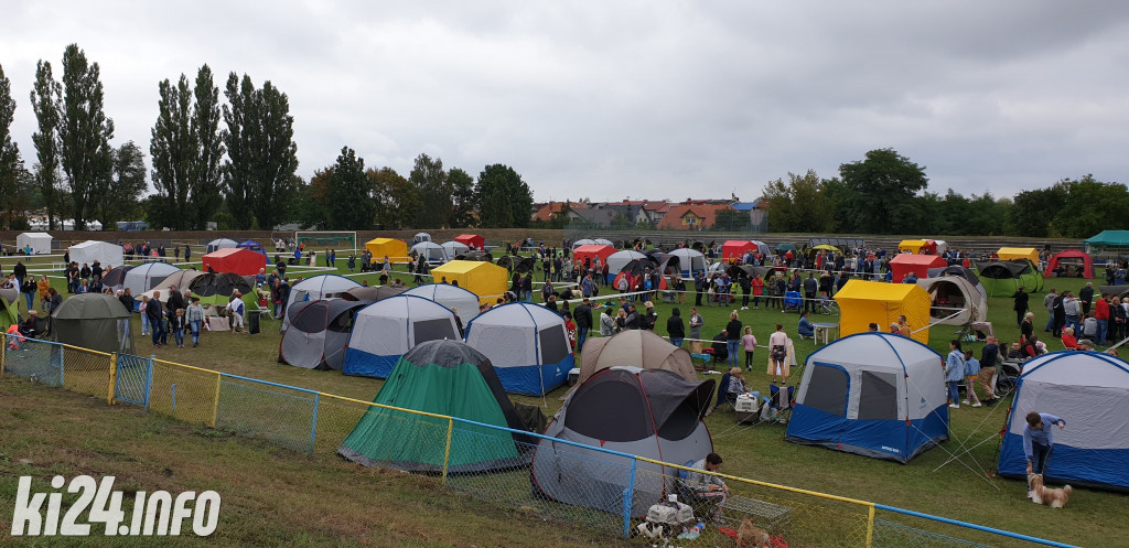 34. Krajowa Wystawa Psów Rasowych