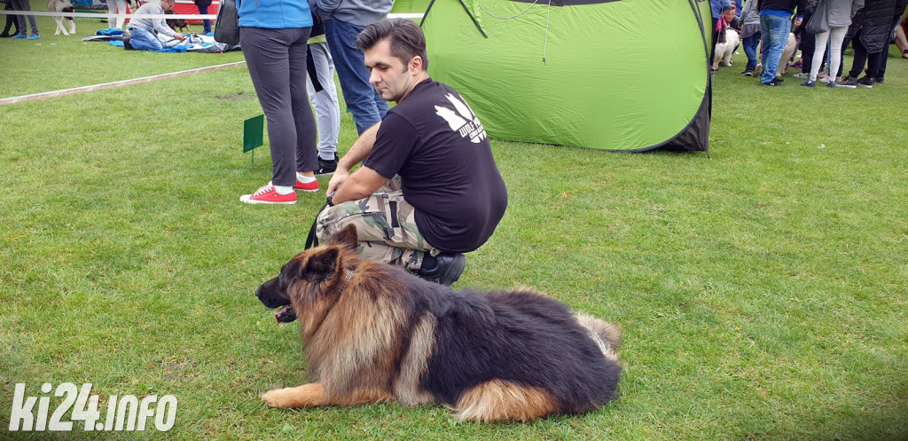 34. Krajowa Wystawa Psów Rasowych