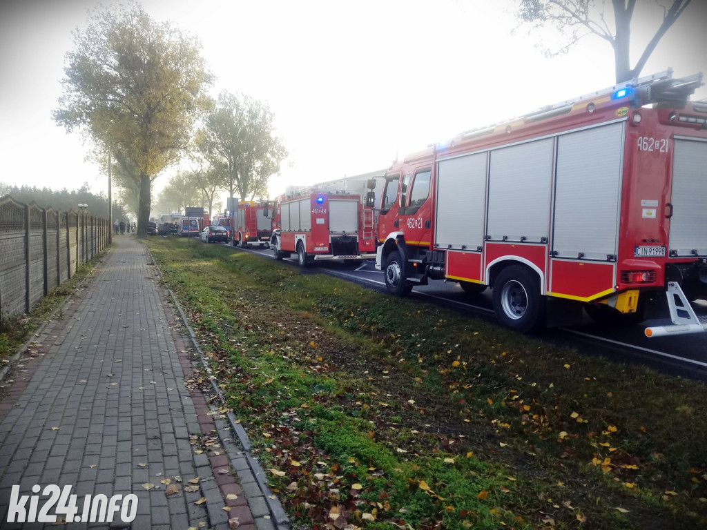 Czołowe zderzenie w Gniewkowie