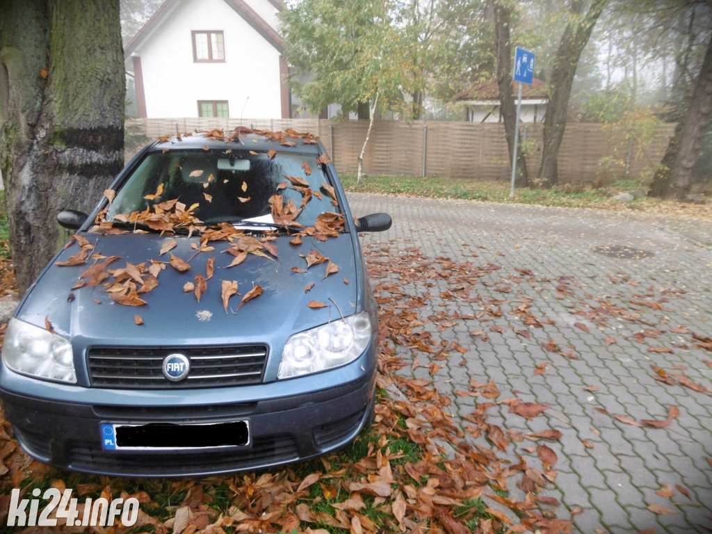 Październikowi mistrzowie parkowania