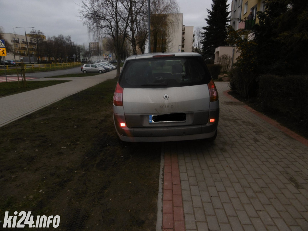 Styczniowi wirtuozi parkowania