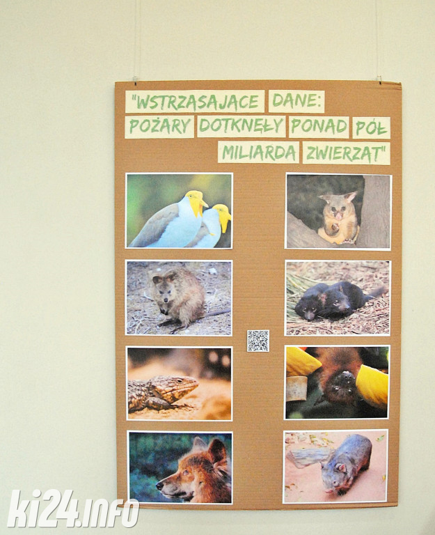 Wystawa pn. Australia wczoraj i dziś
