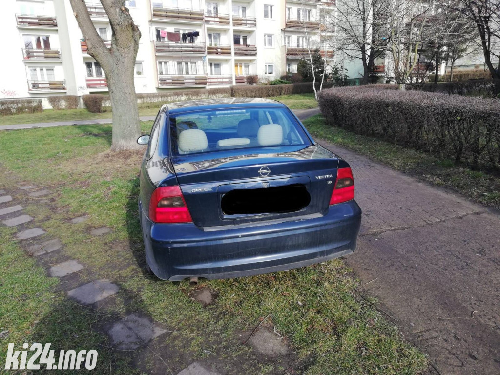 Lutowi wirtuozi parkowania