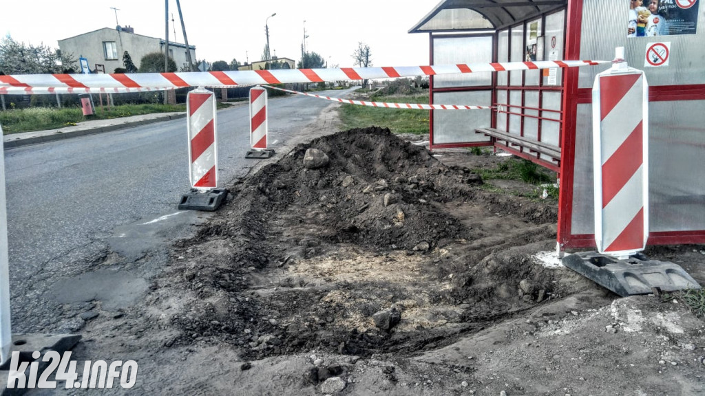 Ludzkie kości pod przystankiem autobusowym