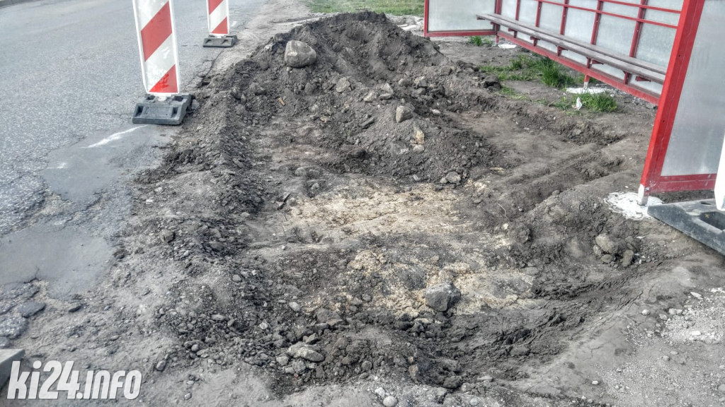 Ludzkie kości pod przystankiem autobusowym