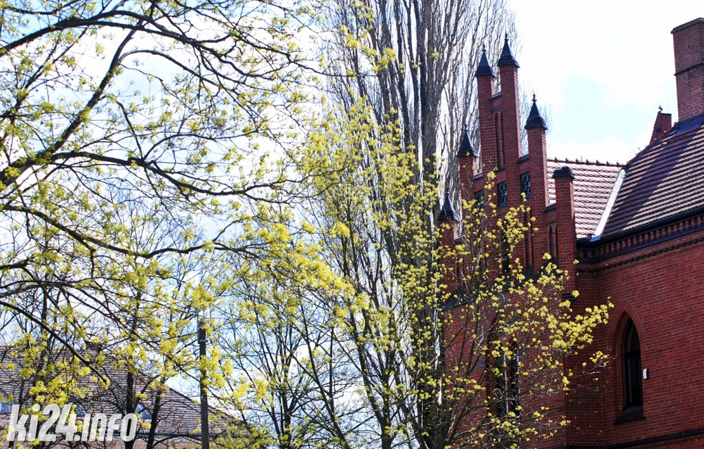 Inowrocław w wiosennej szacie