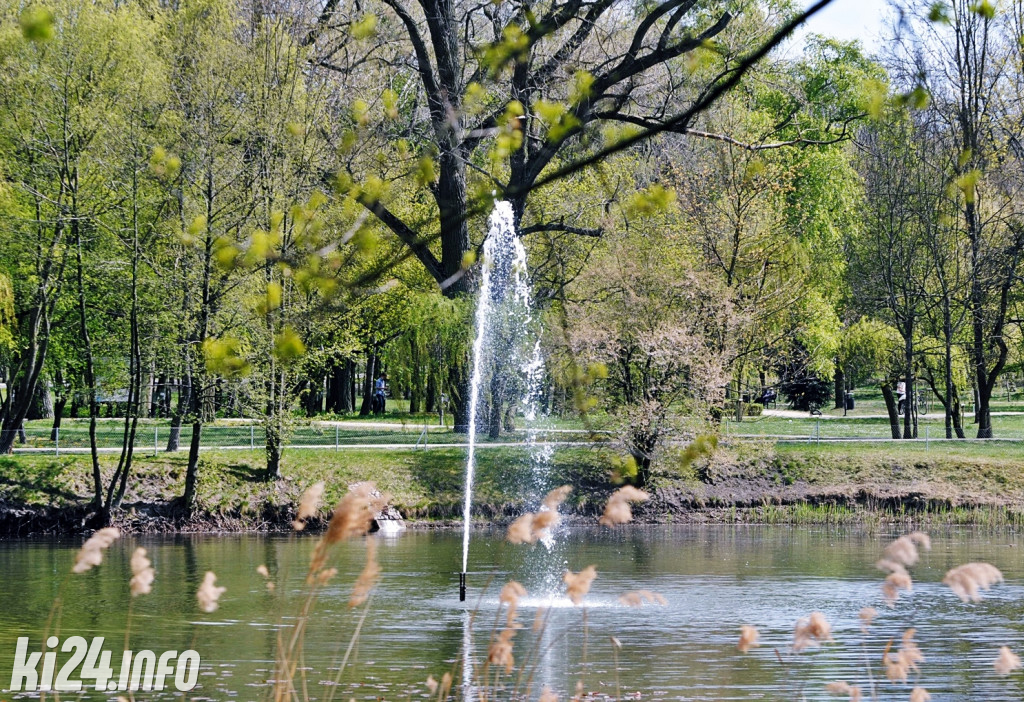 Inowrocław w wiosennej szacie