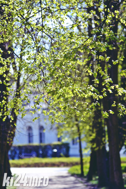 Inowrocław w wiosennej szacie