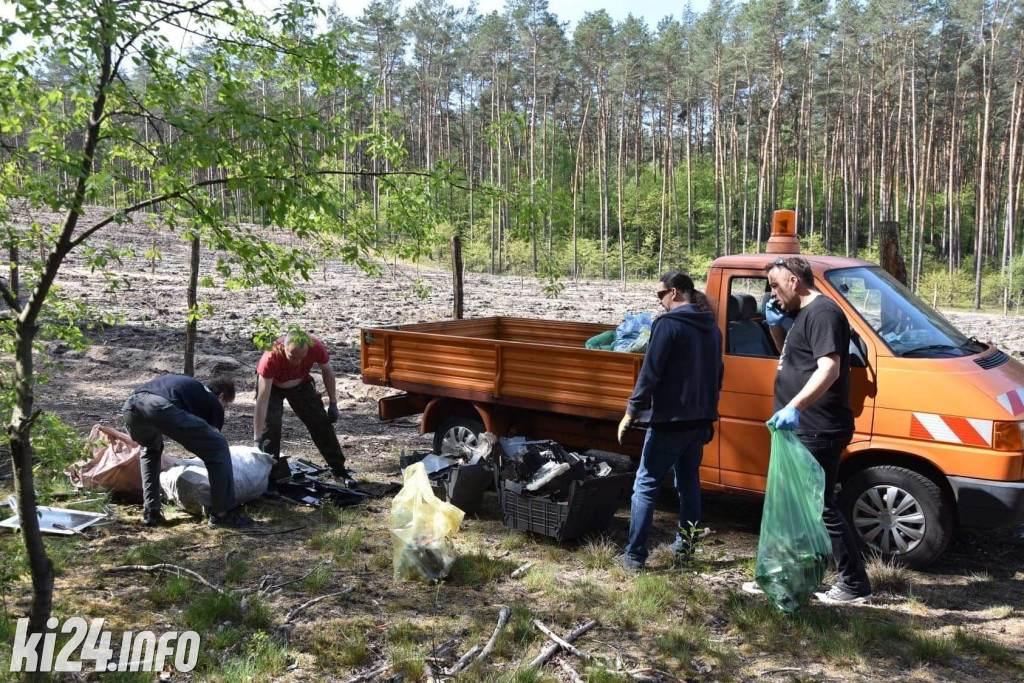 Porządki na terenie Nadleśnictwa Gniewkowo