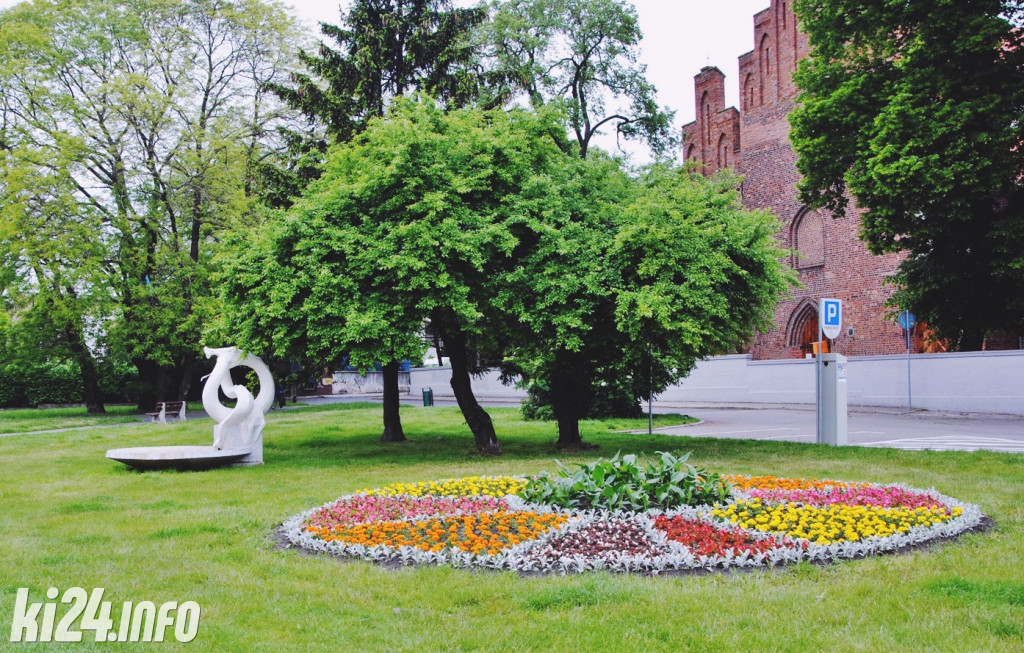 Inowrocław pełen kwiatów