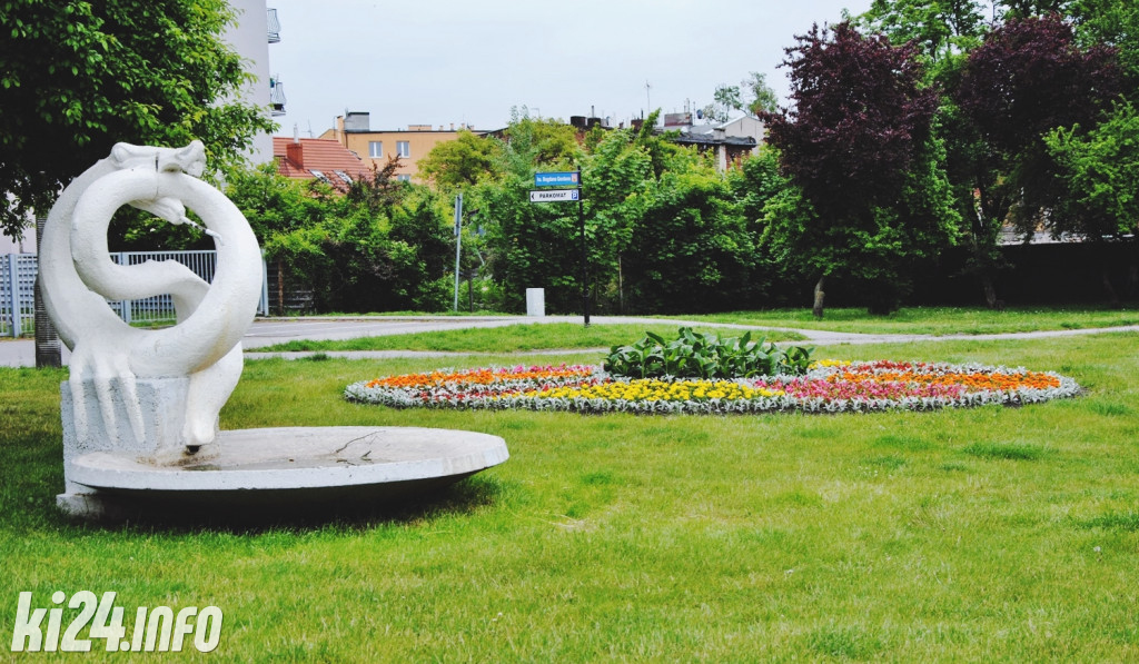 Inowrocław pełen kwiatów