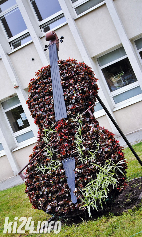 Inowrocław pełen kwiatów