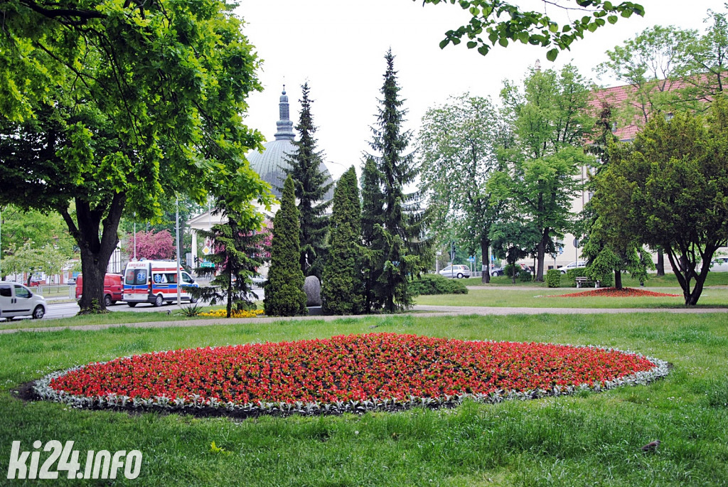 Inowrocław pełen kwiatów