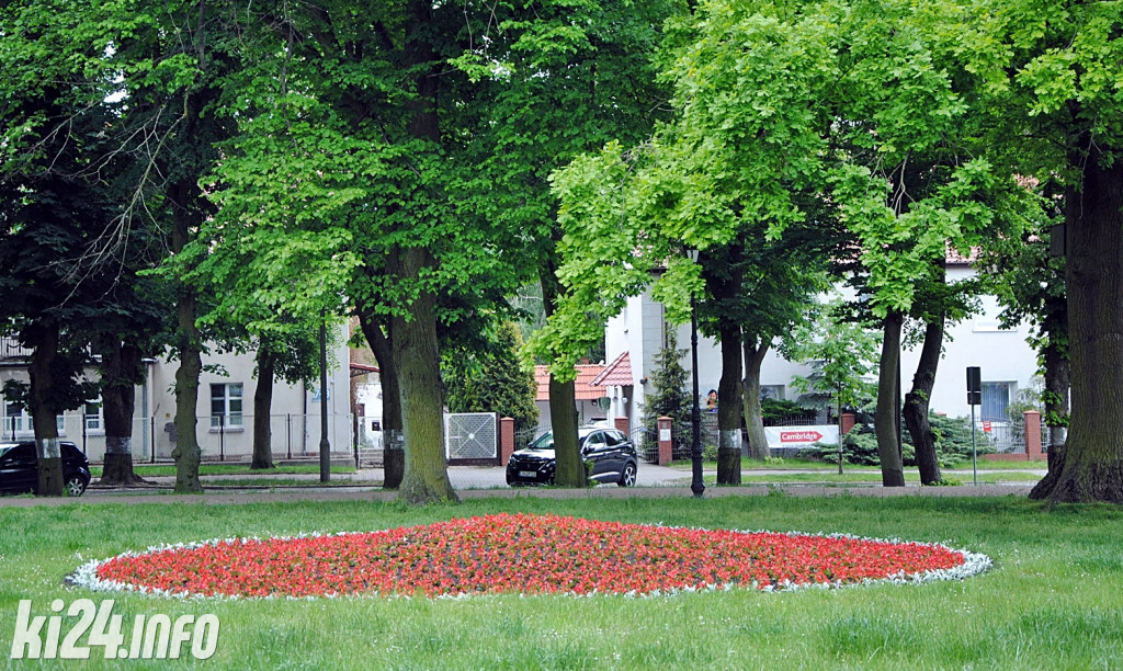 Inowrocław pełen kwiatów