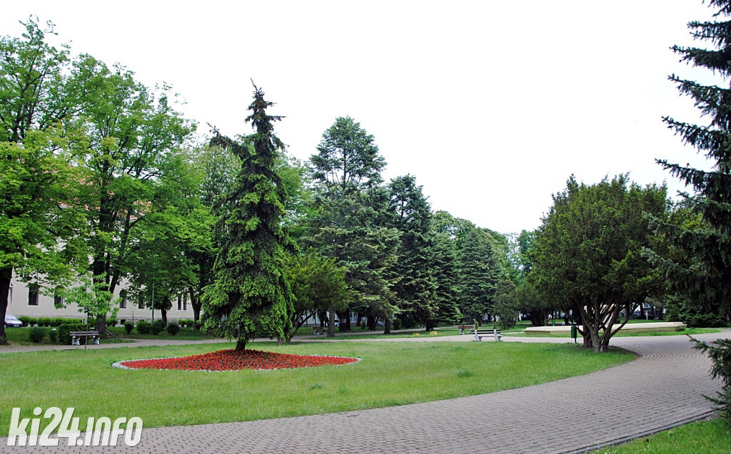 Inowrocław pełen kwiatów