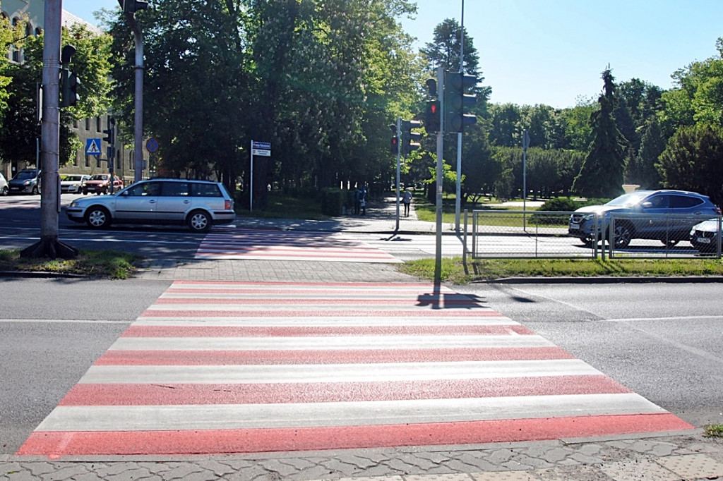 Biało-czerwone zebry