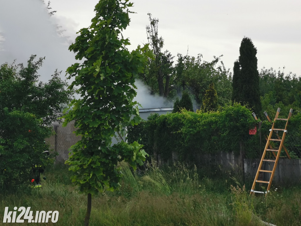 Pożar na działkach