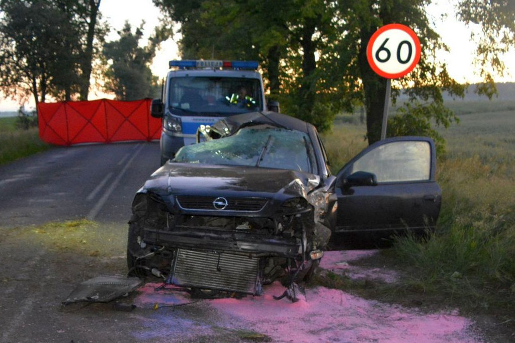 Wypadek koło Radziejowa