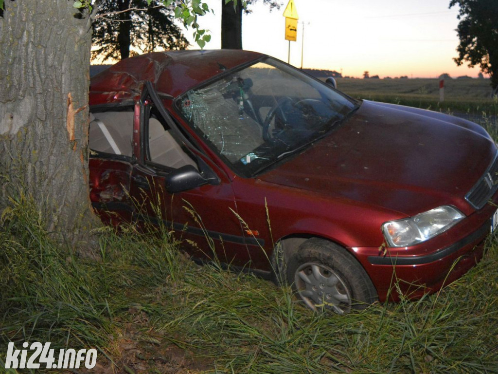 Wypadek koło Radziejowa
