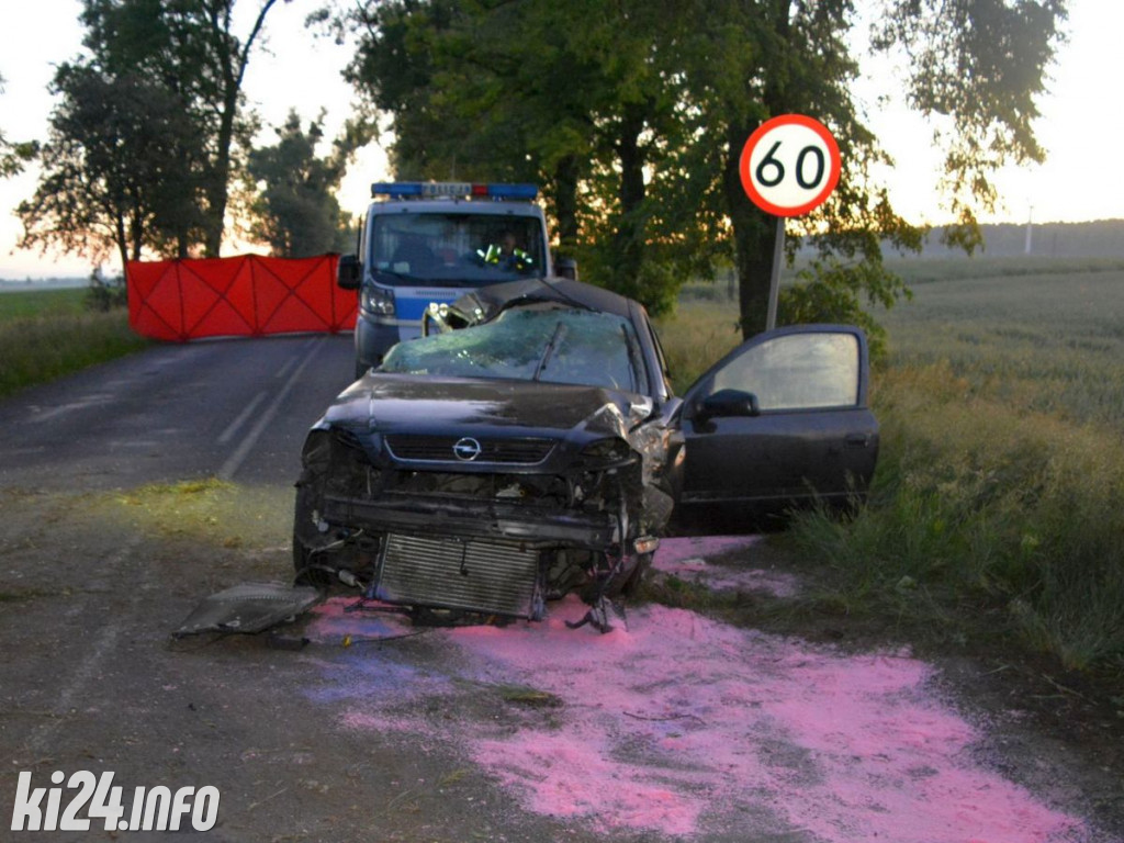 Wypadek koło Radziejowa