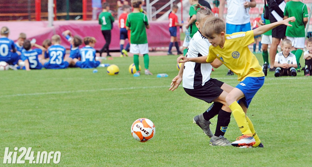 Cuiavia Cup