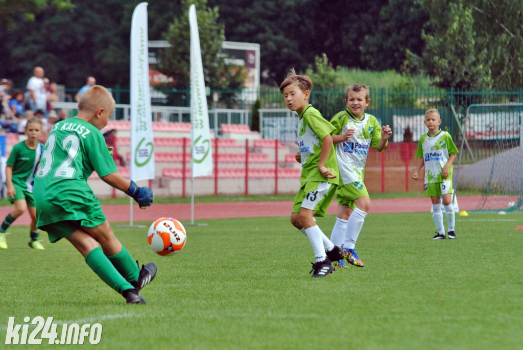 Cuiavia Cup