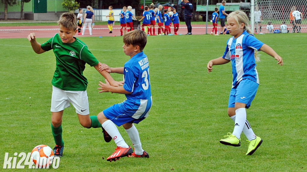 Cuiavia Cup