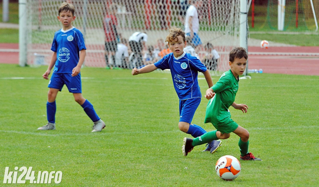 Cuiavia Cup