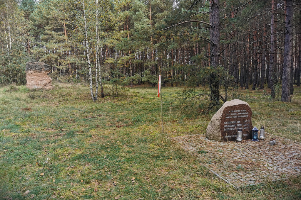 W jednym z okolicznych lasów...