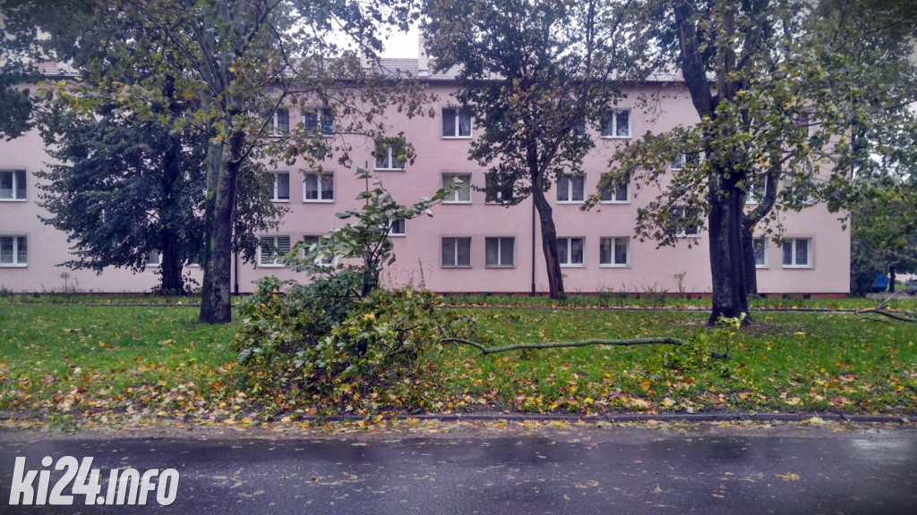 Po nocnych wichurach