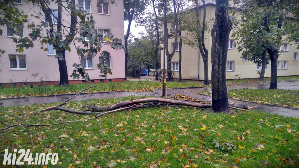 Po nocnych wichurach