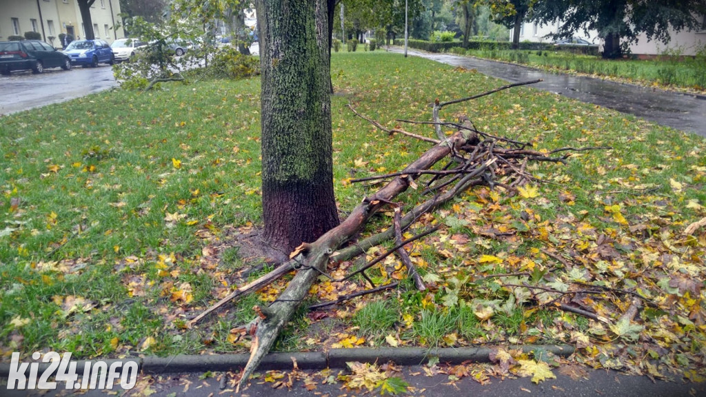 Po nocnych wichurach