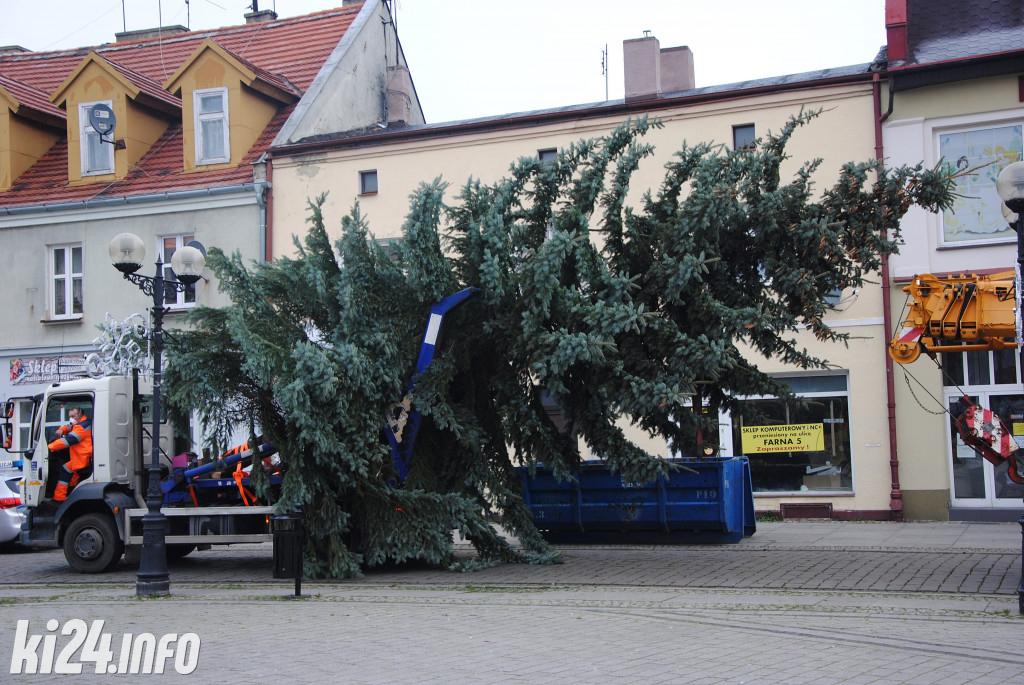 Bożonarodzeniowa choinka na inowrocławskim Rynku