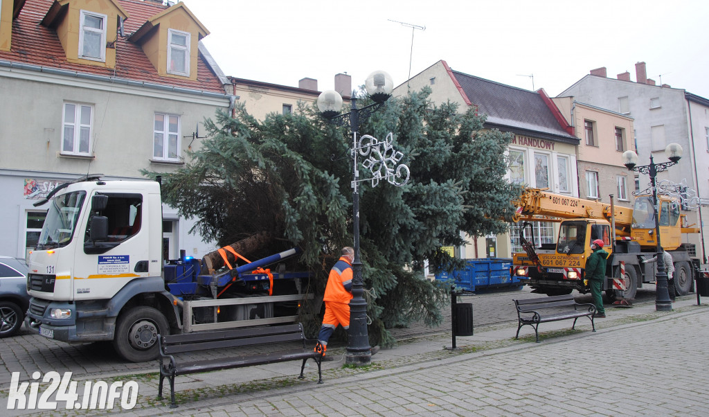 Bożonarodzeniowa choinka na inowrocławskim Rynku