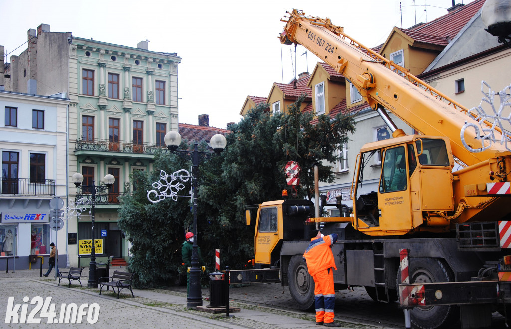 Bożonarodzeniowa choinka na inowrocławskim Rynku