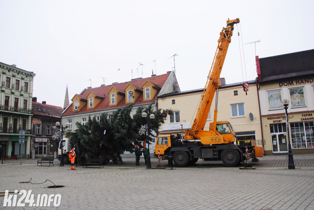 Bożonarodzeniowa choinka na inowrocławskim Rynku