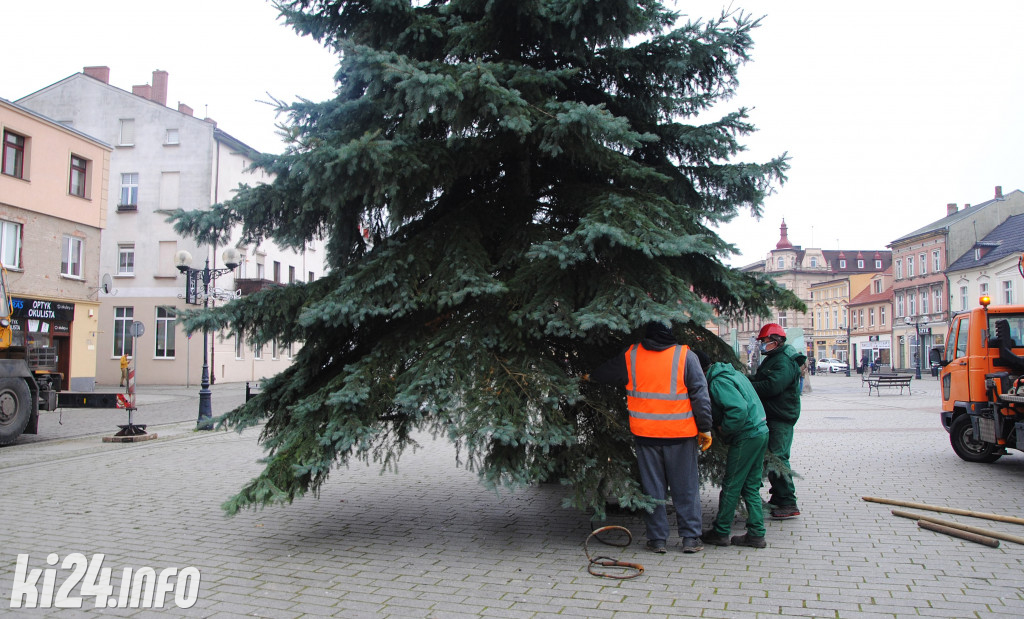 Bożonarodzeniowa choinka na inowrocławskim Rynku