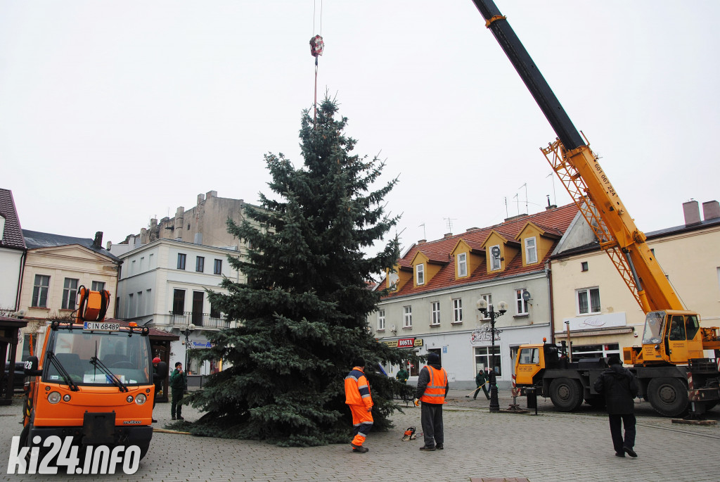 Bożonarodzeniowa choinka na inowrocławskim Rynku
