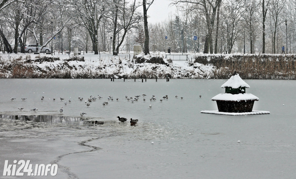 Inowrocław w zimowej szacie