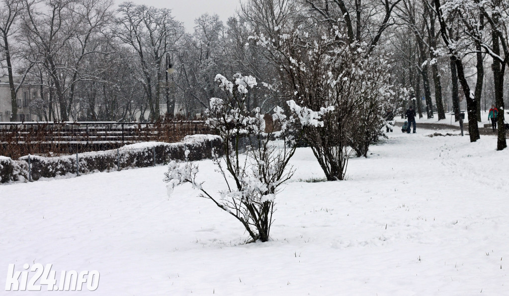 Inowrocław w zimowej szacie