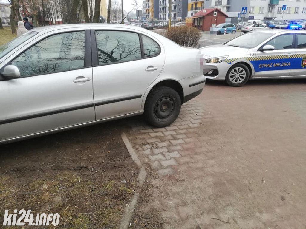 Lutowi mistrzowie parkowania