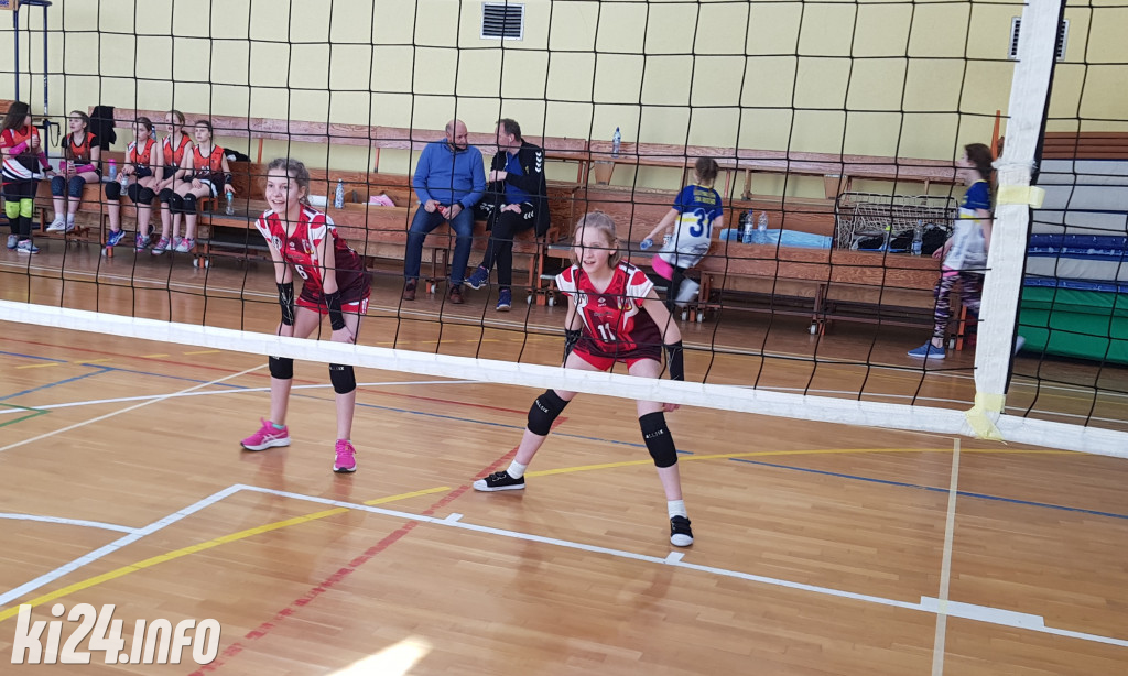  Świetny występ najmłodszych siatkarek MSPS Inowrocław