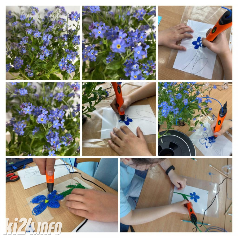 Dzisiaj Święto Niezapominajki