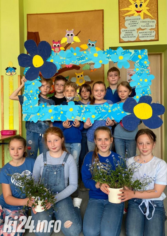 Dzisiaj Święto Niezapominajki