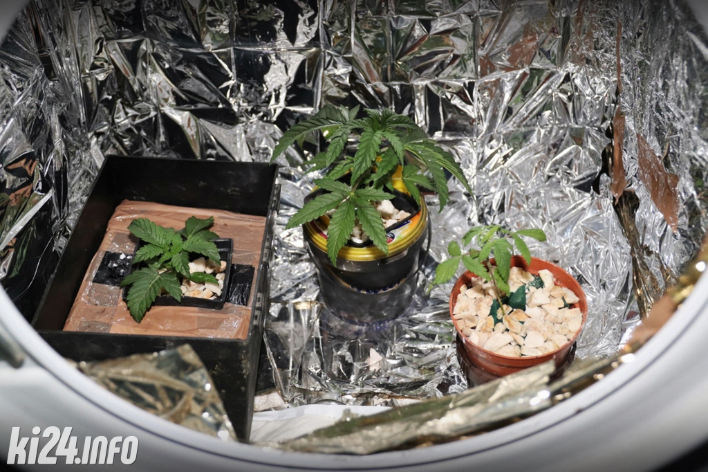 Marihuana w pralce automatycznej